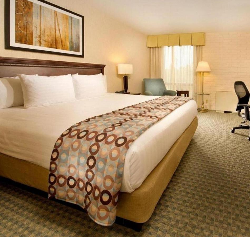 Hotel Lotus 2*